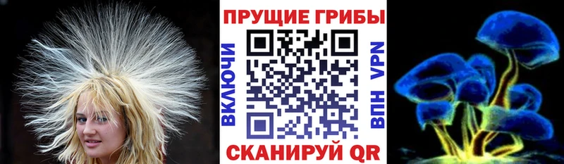 Галлюциногенные грибы Psilocybine cubensis  Ардон 